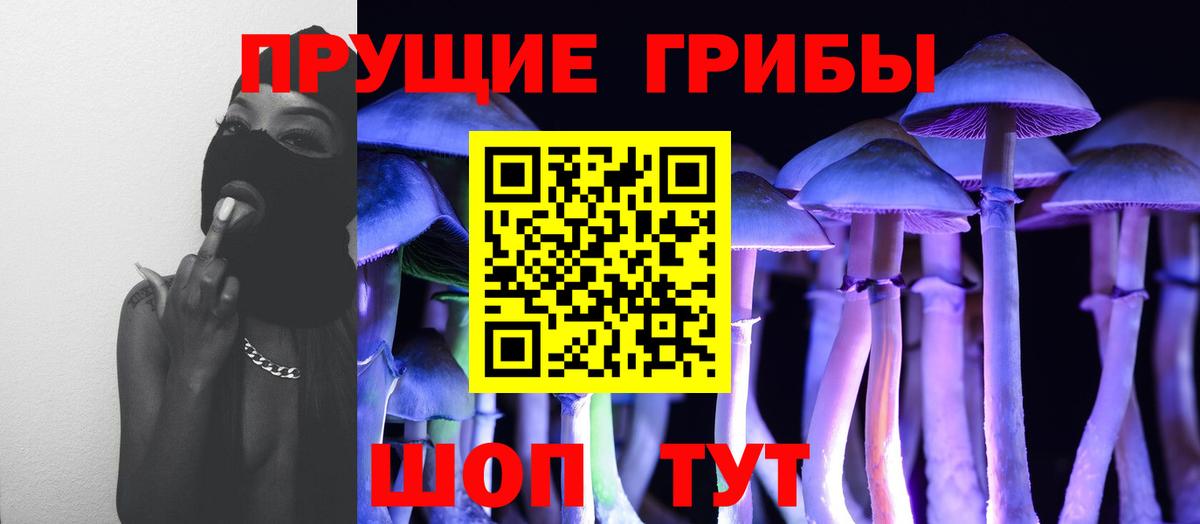 Галлюциногенные грибы Psilocybe  Галлюциногенные грибы Psilocybine cubensis  Котовск  Вход с VPN 