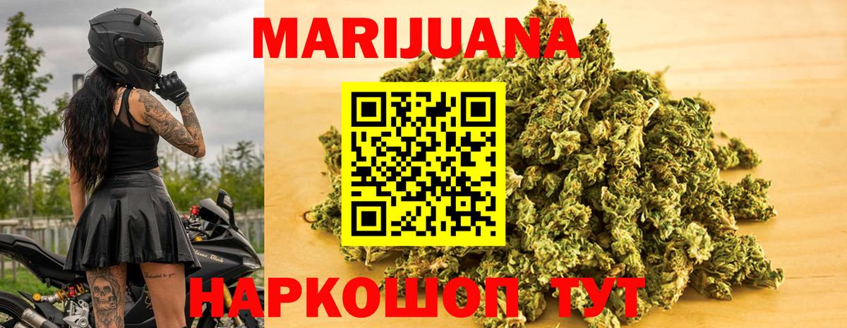 Бошки марихуана планчик  Вход с VPN  Котовск  МАРИХУАНА OG Kush  Конопля Bruce Banner 